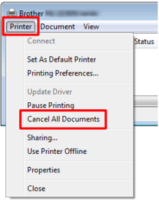 Brother Printer Offline Windows